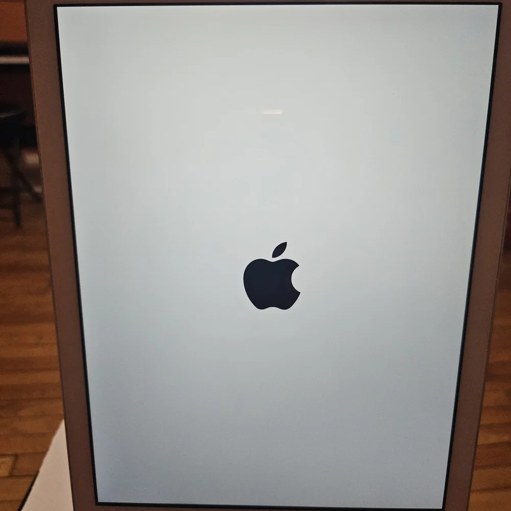 Apple iPad in Sleek Silver